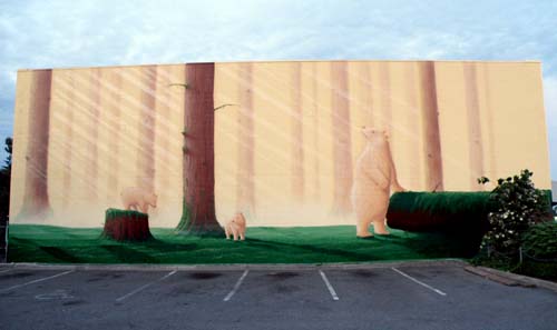 SpiritBears1a